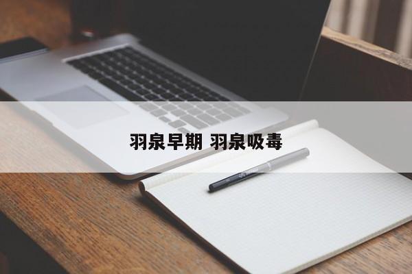 羽泉早期 羽泉吸毒